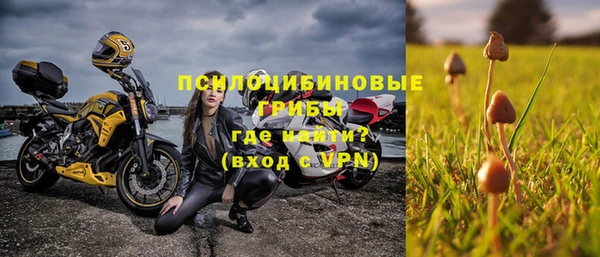 стафф Абдулино