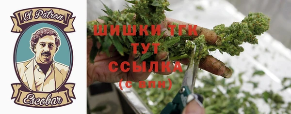 дмт Алзамай