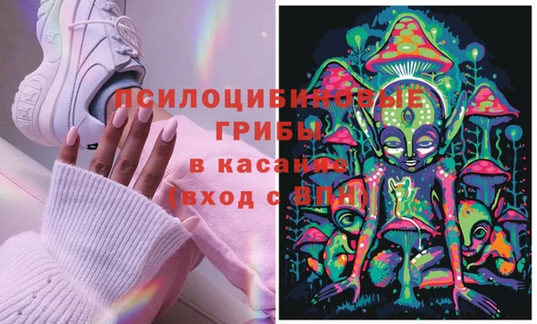 дмт Алзамай