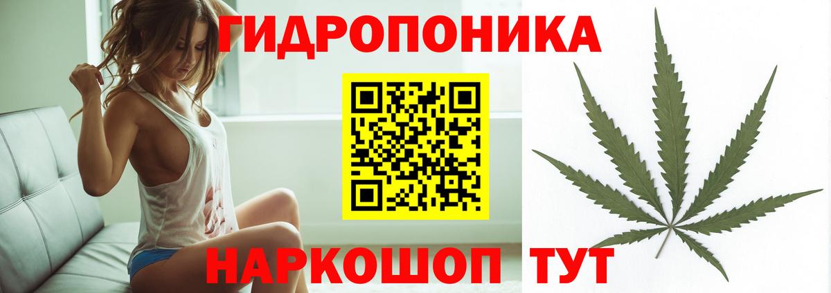 Канабис Amnesia Шумерля